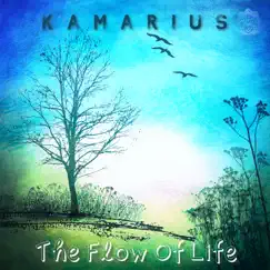 The Flow of Life by Kamarius album reviews, ratings, credits