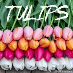 Tulips - Single by Elliston Stone album reviews, ratings, credits