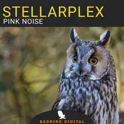 Pink Noise - Single by Stellarplex album reviews, ratings, credits