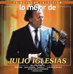 Tributos de Colección / Lo Mejor de Julio Iglesias by Andy Dular album reviews, ratings, credits