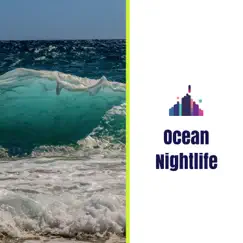Ocean Nightlife - Single by 3D HD Nature Sounds Water Flows album reviews, ratings, credits