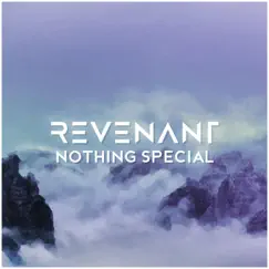 Nothing Special - Single by Revenant album reviews, ratings, credits