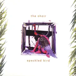 Speckled Bird by The Choir album reviews, ratings, credits