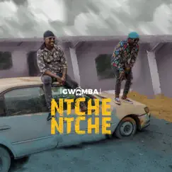 Ntchentche - Single by Gwamba album reviews, ratings, credits