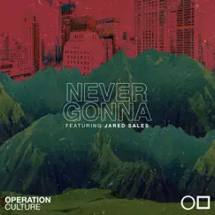 Never Gonna (feat. J. Sales) - Single by Operation Culture album reviews, ratings, credits