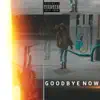 Goodbye Now - Single album lyrics, reviews, download