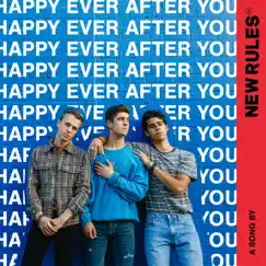 Happy Ever After You Song Lyrics