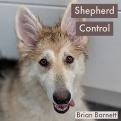 Shepherd Control - Single by Brian Barnett album reviews, ratings, credits