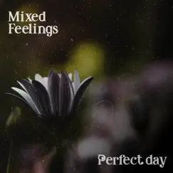 Perfect Day - Single by Mixed Feelings album reviews, ratings, credits