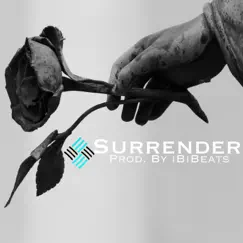 Surrender - Single by IBiBeats album reviews, ratings, credits