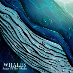 Songs Of The Whales by Whales album reviews, ratings, credits