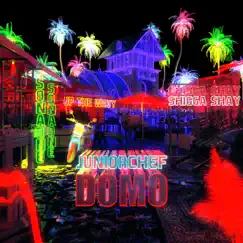 Domo (feat. ShiGGa Shay, SonaOne & JP THE WAVY) Song Lyrics