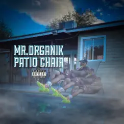 Patio Chair - Single by Mr.Organik album reviews, ratings, credits