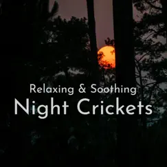 Night Crickets (Relaxing & Soothing) by Path to the Wild album reviews, ratings, credits