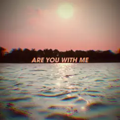 Are You With Me - Single by Shapes album reviews, ratings, credits
