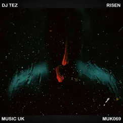 Risen - Single by DJ Tez album reviews, ratings, credits