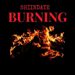 Burning - Single by Shiindaye album reviews, ratings, credits