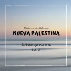 Ministerio de Alabanza Nueva Palestina, Vol. 8: La Unción Que Arde en Mí by M.A.A. Nueva Palestina album reviews, ratings, credits