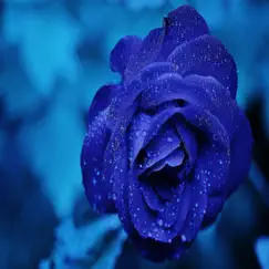 Blue rose - Single by Lemon Detective album reviews, ratings, credits