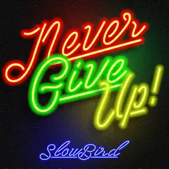 Never Give Up! - EP by SLOWBIRD album reviews, ratings, credits