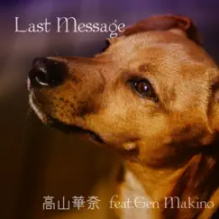 Last Message (feat. gen makino) by 高山華奈 album reviews, ratings, credits