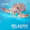 Relaxing Hawaiian Vibes 2020 album lyrics, reviews, download