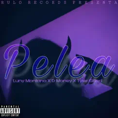 Pelea - Single by Luny Montana album reviews, ratings, credits
