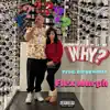 Why? - Single album lyrics, reviews, download