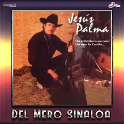 Del Mero Sinaloa by Jesus Palma album reviews, ratings, credits