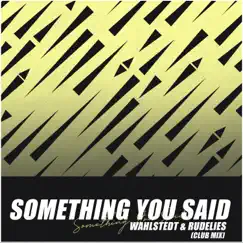 Something You Said (Club Mix) Song Lyrics