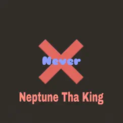 Never - Single by Neptune Tha King album reviews, ratings, credits