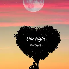 One Night - Single by COOL GUY TY album reviews, ratings, credits