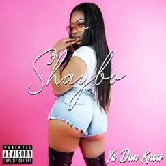 Ya Dun Know - Single by Shaybo album reviews, ratings, credits