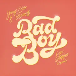 Bad Boy (feat. bbno$) [Low Steppa Remix] Song Lyrics
