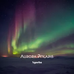 Aurora Polaris - Single by Syneba album reviews, ratings, credits