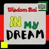 In My Dream - Single album lyrics, reviews, download