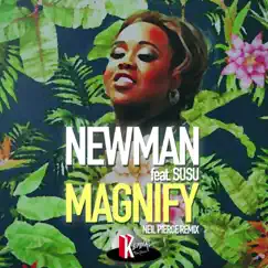 Magnify (feat. Susu) [Neil Pierce Remix] - Single by NEWMAN & Dave Anthony album reviews, ratings, credits