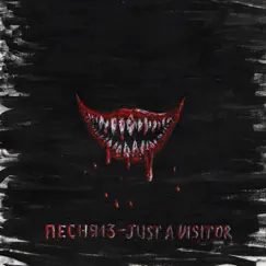 Just a Visitor - Single by ПЕСНЯ13 album reviews, ratings, credits