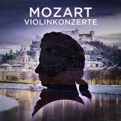 Violinkonzerte Mozart by Mikhail Gantvarg & St. Petersburg Soloists album reviews, ratings, credits