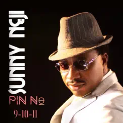 Pin No 9 10 11 by Sunny Neji album reviews, ratings, credits
