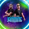 Jamming - Single album lyrics, reviews, download