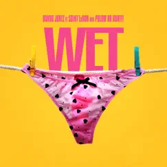 Wet (feat. Saint LaRon & Polow Da Don) Song Lyrics