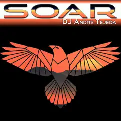 Soar (Radio Mix) Song Lyrics