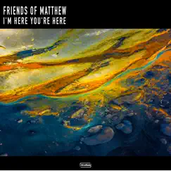 I'm Here You're Here - Single by Friends of Matthew album reviews, ratings, credits