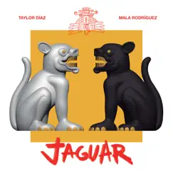 Jaguar Song Lyrics