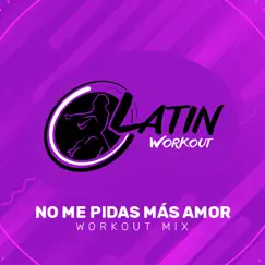 No Me Pidas Mas Amor (Instrumental Workout Mix 130 bpm) Song Lyrics