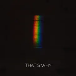 That's Why (Space Cut) Song Lyrics