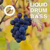 Liquid Drum & Bass Sessions 2020 Vol 15 album lyrics, reviews, download