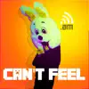 Can't Feel (House Remix) - Single album lyrics, reviews, download