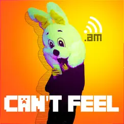 Can't Feel (House Remix) Song Lyrics